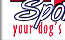 SuperDog Sports Center ~ Your Dog's Performance Playground