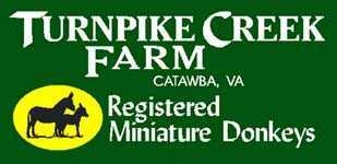 Turnpike Creek Farm Miniature Donkey Farm!!