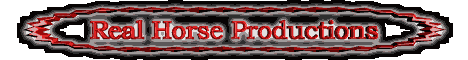 Real Horse Productions
