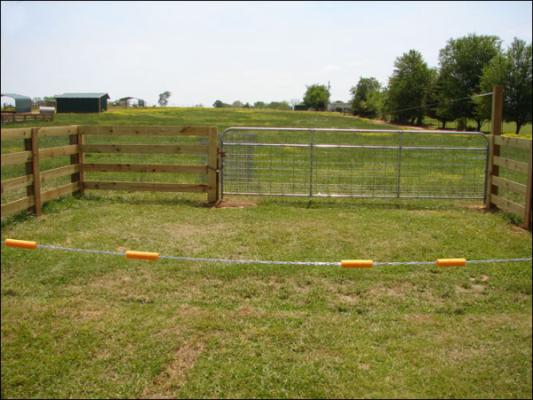 Our new arena at Half Ass Acres Miniature Donkey Farm