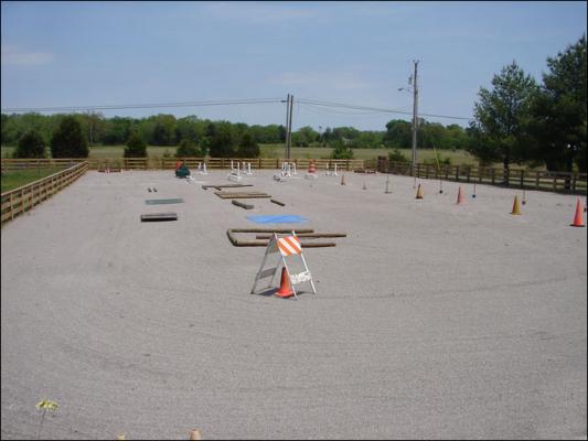 Our new arena at Half Ass Acres Miniature Donkey Farm