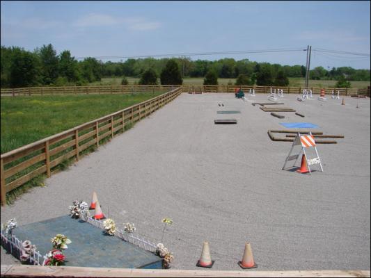 Our new arena at Half Ass Acres Miniature Donkey Farm