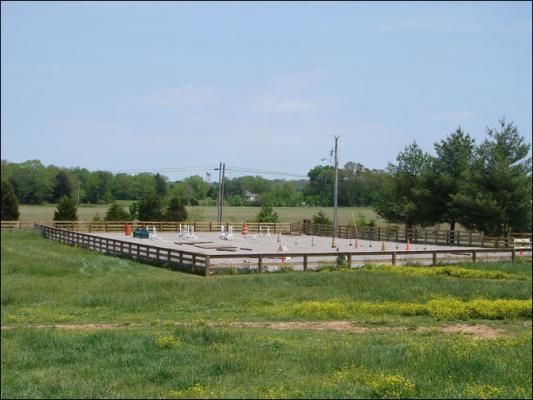 Our new arena at Half Ass Acres Miniature Donkey Farm