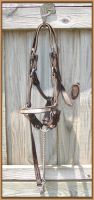 Caddie's Show Halter