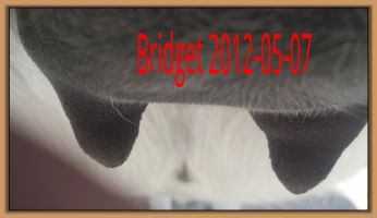 Bridget 2012-05-07