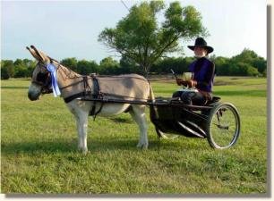 Brittney and Vegas winning the Driving Class!