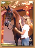 June Jones competing at the Nationals in New Mexico with her Saddlebred Horse.