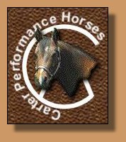 Carter Performance Horses