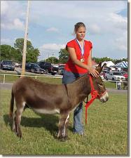 My World Diablo winning 2nd in the Coon Jump...Tiffany Spears at the reins!